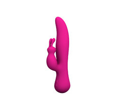  The Love Swan Luxury USB Rechargeable Rabbit Vibrator 